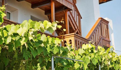 Apartment with Mountain View