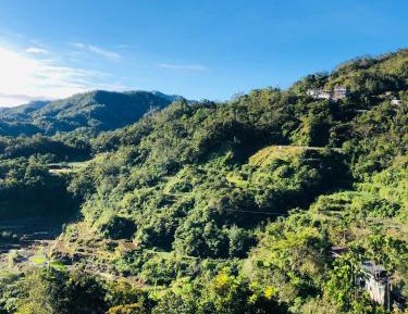 Double Room with Shared Toilet