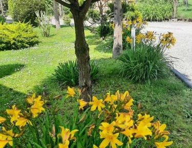 Triple Room with Terrace