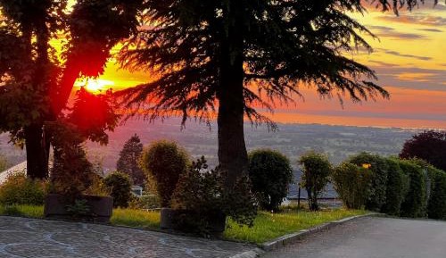 Three-Bedroom Apartment with View