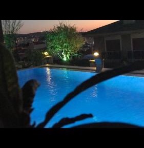 One-Bedroom Villa