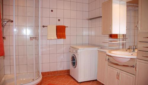 One-Bedroom Apartment with Shower