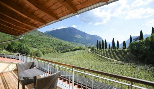 Junior Suite with Balcony and Vineyard View