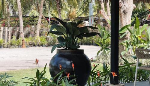 Deluxe Double or Twin Room with Garden View