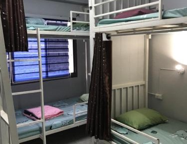 Bunk Bed in Mixed Dormitory Room