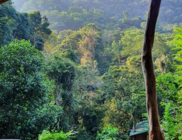 Double Room with Mountain View
