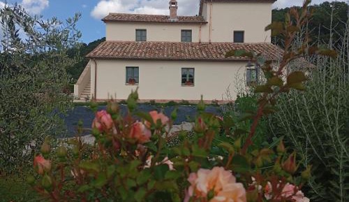 Deluxe Two-Bedroom Apartment with Garden View