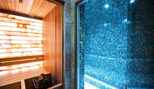 Deluxe Apartment with Spa Access