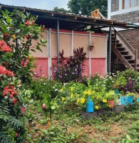 Classic Quadruple Room