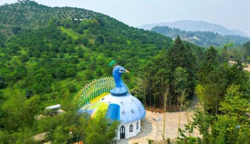 Junior Suite with Garden View