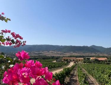 Apartment with Garden View