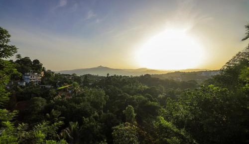 Deluxe Double or Twin Room with Mountain View