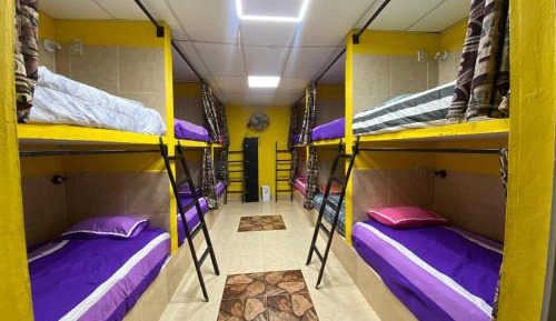 Single Bed in Mixed Dormitory Room
