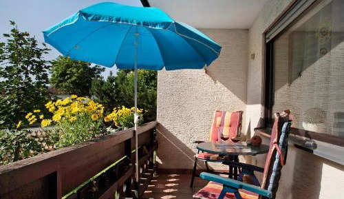 Superior One-Bedroom Apartment with Balcony