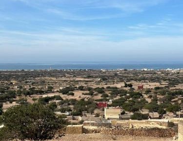 Double Room with Terrace