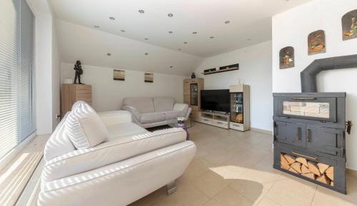 Deluxe Three-Bedroom Apartment