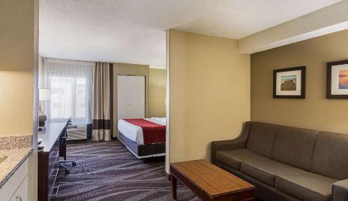 Deluxe King Room  with Sofa Bed - Non-Smoking