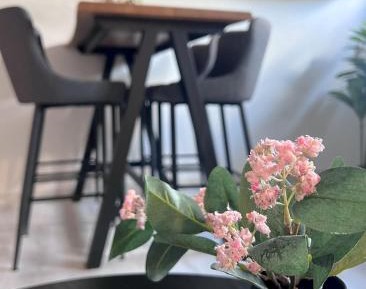 Apartment with Garden View