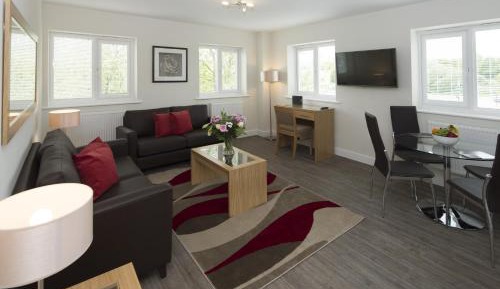 Deluxe One-Bedroom Apartment