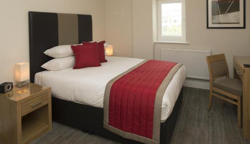 Standard One-Bedroom Apartment