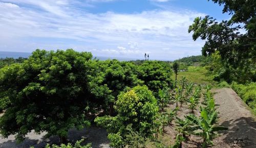 Double Room with Sea View