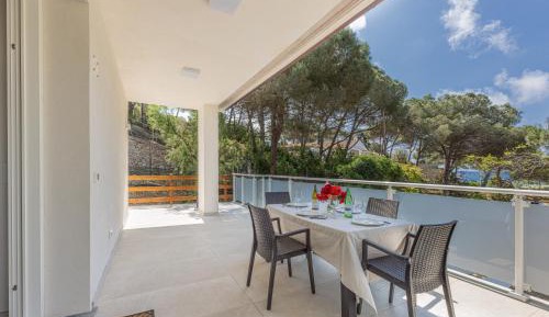 Apartment with Terrace