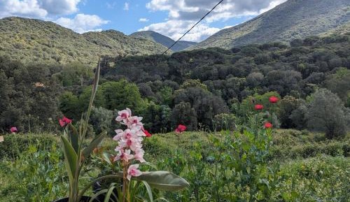 Double Room with Mountain View