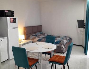 Studio with Mountain View