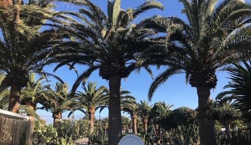 Two-Bedroom Bungalow