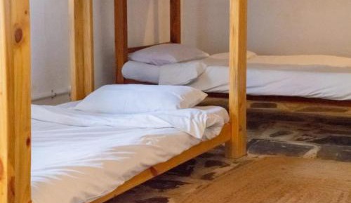 Bed in 8-Bed Mixed Dormitory Room