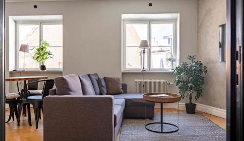 One-bedroom Loft Apartment 