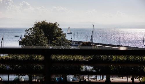 Single Room with Lake View