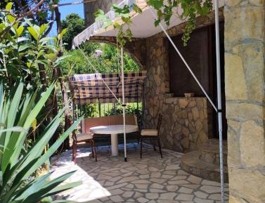 Studio with Garden View