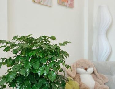 One-Bedroom Apartment with View