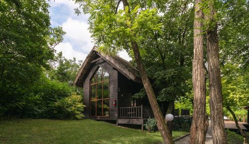 Apartment - Split Level