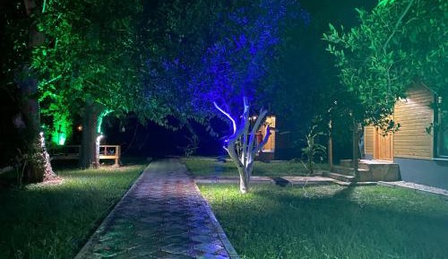 Studio with Garden View