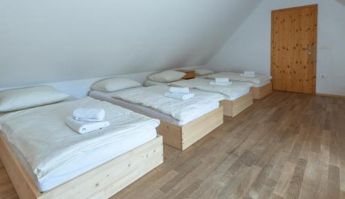 6-Bed Mixed Dormitory Room