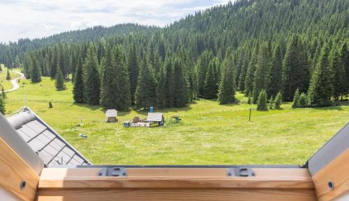 Mixed Dormitory Room