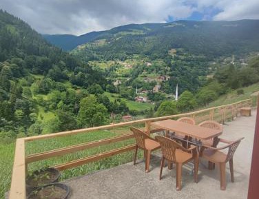 Two-Bedroom Family Apartment