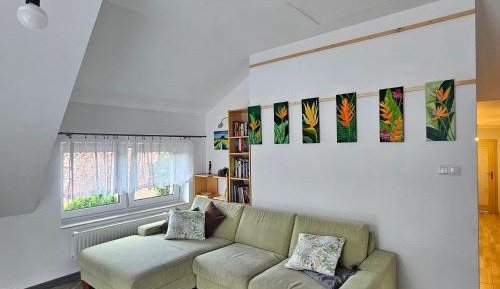 Apartment with Terrace