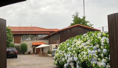 Double Room with Pool View