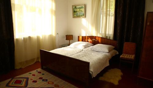 Double or Twin Room with Garden View