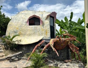 King Suite with Pool View