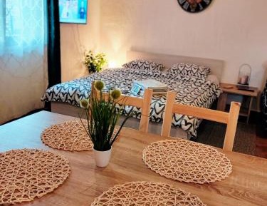 Studio with Garden View