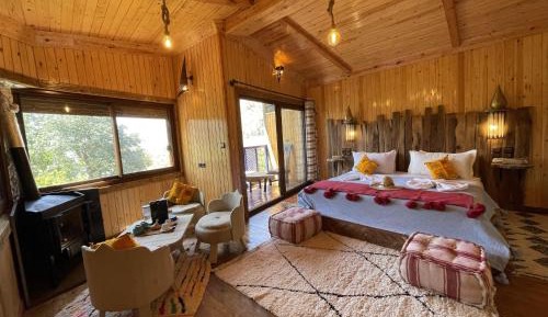 Large Double or Twin Room