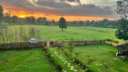 King Room with Garden View