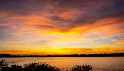 Queen Room with Garden View