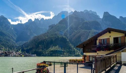 One-Bedroom Apartment 1