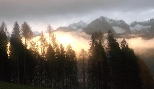 Two-Bedroom Apartment with Shower 