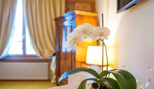 Deluxe Double Room with Shower